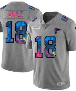 Atlanta Falcons #18 Calvin Ridley Nike Multi-Color 2020 NFL Crucial Catch NFL Jersey Greyheather