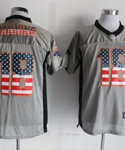 Nike Broncos #18 Peyton Manning Grey Stitched NFL Elite USA Flag Fashion Jersey