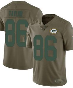 Nike Green Bay Packers #86 Malik Taylor Olive Stitched Limited 2017 Salute To Service Jersey