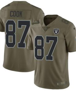 Nike Las Vegas Raiders #87 Jared Cook Olive Stitched NFL Limited 2017 Salute To Service Jersey