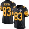 Nike Pittsburgh Steelers #83 Zach Gentry Black Stitched NFL Limited Rush Jersey