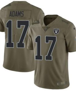Nike Raiders #17 Davante Adams Olive Stitched NFL Limited 2017 Salute To Service Jersey