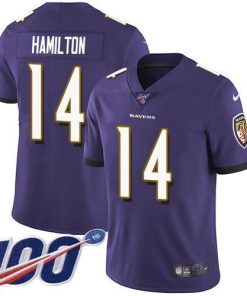 Nike Ravens #14 Kyle Hamilton Purple Team Color Stitched NFL 100th Season Vapor Untouchable Limited Jersey