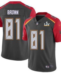Nike Tampa Bay Buccaneers #81 Antonio Brown Gray Super Bowl LV Bound Stitched NFL Limited Inverted Legend Jersey