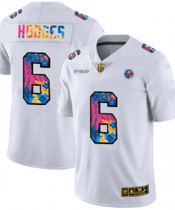 Pittsburgh Pittsburgh Steelers #6 Devlin Hodges White Nike Multi-Color 2020 NFL Crucial Catch Limited NFL Jersey