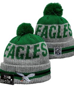 Philadelphia Eagles Knit Hat