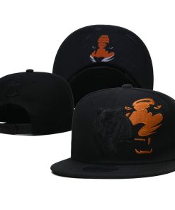 Chicago Bears Snapback Hat