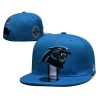 Carolina Panthers Snapback Hat