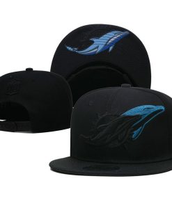 Miami Dolphins Snapback Hat