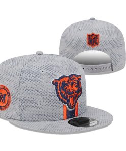 Chicago Bears Snapback Hat