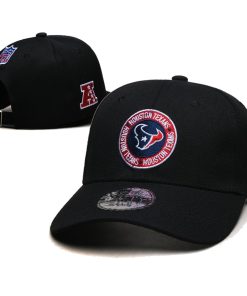 Houston Texans Adjustable Hat