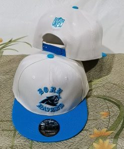 Carolina Panthers Snapback Hat