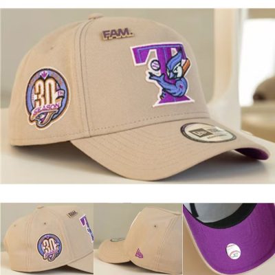 Toronto Blue Jays Adjustable Hat