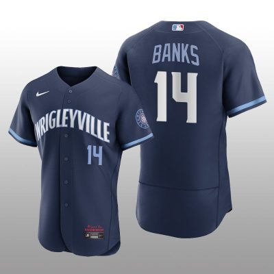 City Connect Chicago Cubs Ernie Banks Authentic Navy Jersey