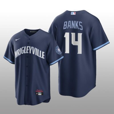 City Connect Chicago Cubs Ernie Banks Replica Navy Jersey