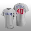 Chicago Cubs Jose Martinez Authentic Road Jersey - Gray