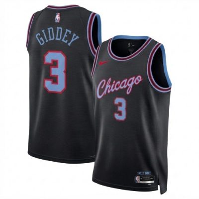 Josh Giddey Chicago Bulls Nike Unisex 2025/26 Hardwood Classics Black Swingman Jersey