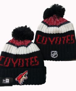 Arizona Coyotes Knit Hat