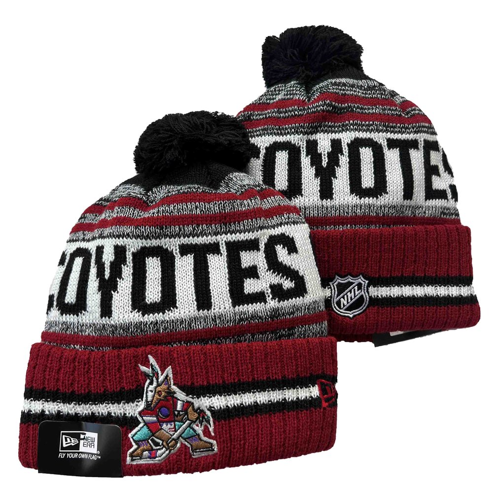 arizona_coyotes_beanies_knit_hat_cxqp0n29mush.jpg