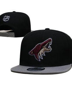 Arizona Coyotes Snapback Hat