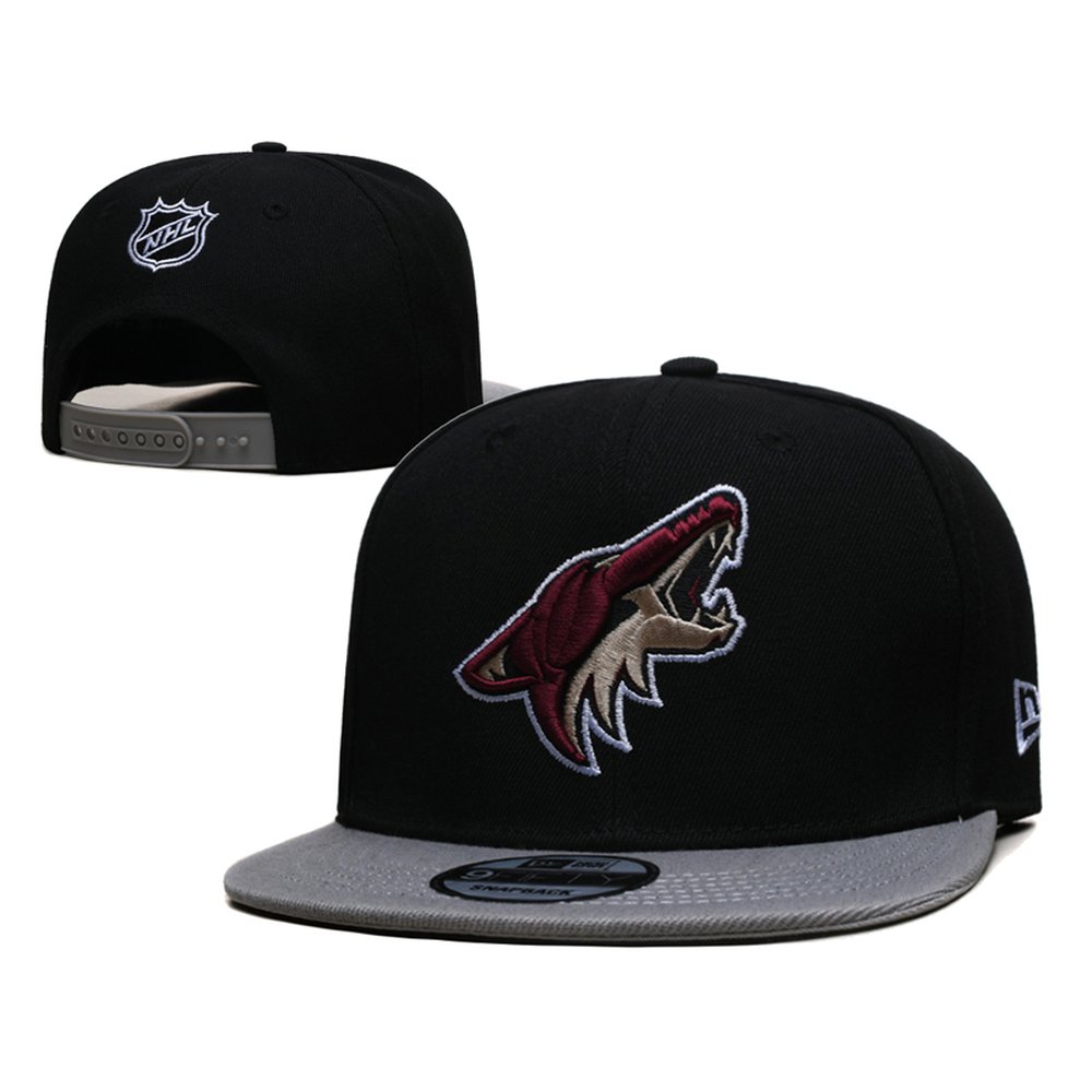 arizona_coyotes_snapback_hat_wcjf7wdzj0p5.jpg