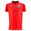 Jersey Austria Home Euro 2016