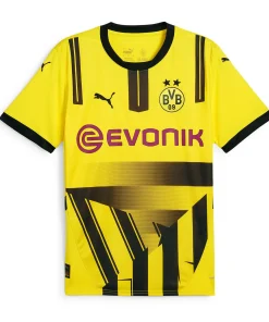 Jersey Borussia Dortmund Coupe 2024/25