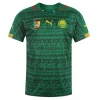 Jersey Cameroon Home 2014