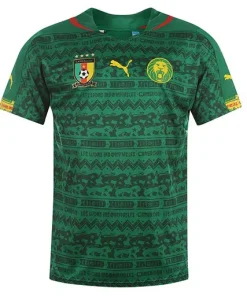 Jersey Cameroon Home 2014