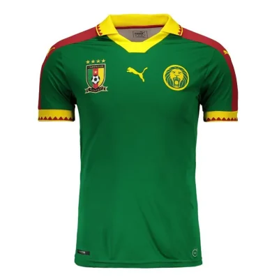 Jersey Cameroon Home 2017