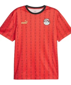 Jersey Egypte Ftblculture 2023/24