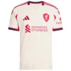 Jersey Liverpool Away 2025/26