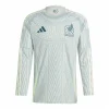 Jersey Mexico Away 2024 Ml