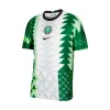 Jersey Nigeria Home 2020/21