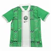 Jersey Nigeria Home 2024 - Concept