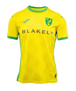Jersey Norwich City Home 2024/25