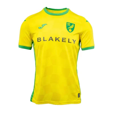 Jersey Norwich City Home 2024/25