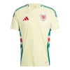 Jersey Pays De Galles Away 2024