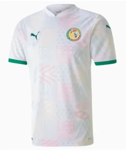 Jersey Senegal Home 2021/22