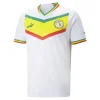 Jersey Senegal Home 2022/23