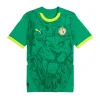 Jersey Senegal Away 2024/25