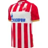 Jersey ?toile Rouge Home 2024/25