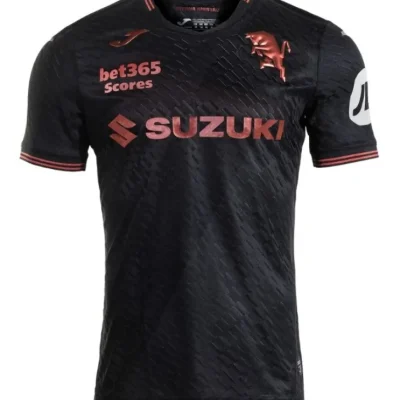 Jersey Torino Third 2024/25
