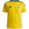 Jersey Ukraine Home 2024/25