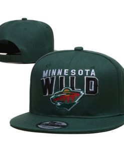 Minnesota Wild Snapback Hat