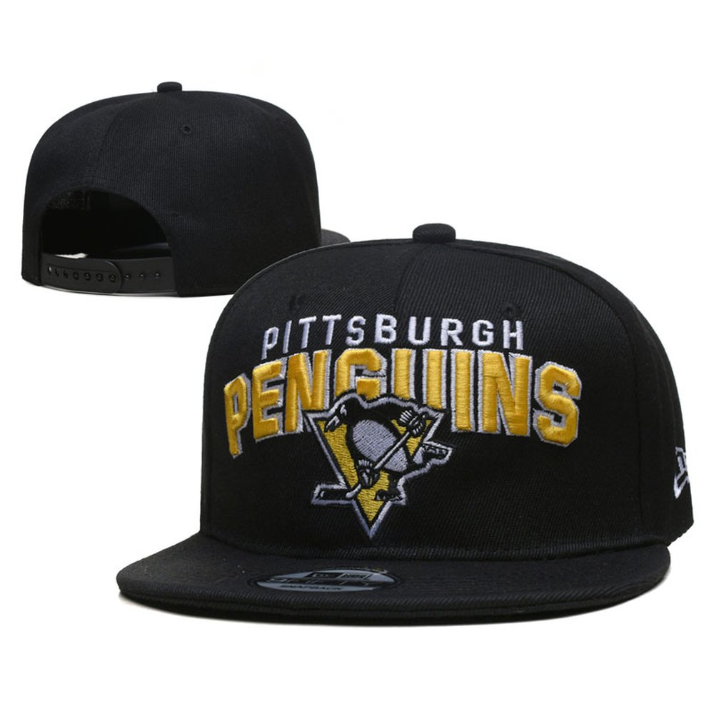 pittsburgh_penguins_snapback_hat_7u6ssb0dtzcm.jpg