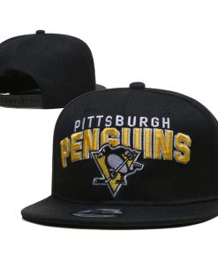 Pittsburgh Penguins Snapback Hat