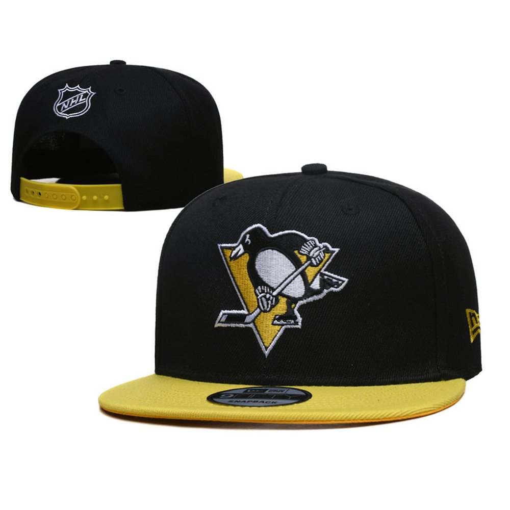 pittsburgh_penguins_snapback_hat_zdfpkw1okr4j.jpg
